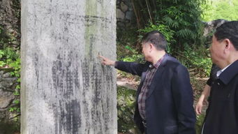 老驥伏櫪勇?lián)?虎牙山下顯身手