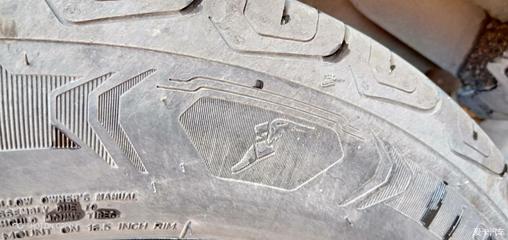 【飛足陪伴的樂趣】老驥伏櫪的老軒之翼