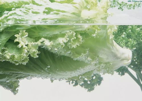 德國科技的多功能食品凈化機,全家人的健康衛(wèi)士