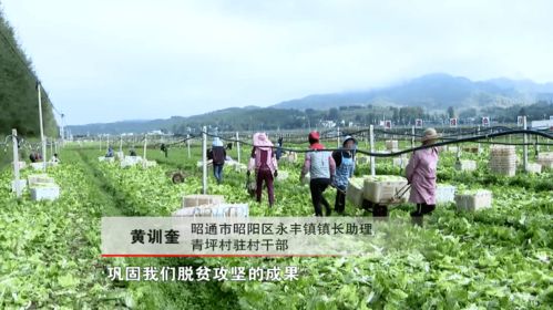 全國(guó)勞動(dòng)模范黃訓(xùn)奎 老驥伏櫪 只為鄉(xiāng)親生活更美好