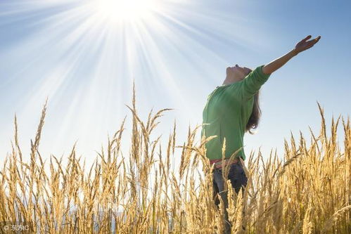 勵志古詩文60句 苔花如米小,也學牡丹開