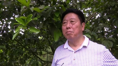 合江71歲特聘村主任 老驥伏櫪志在振興鄉村
